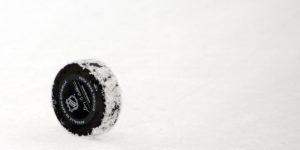 NHL hockey puck