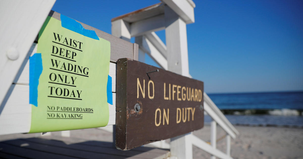 Dead seals are washing up on Maine shore after shark attack