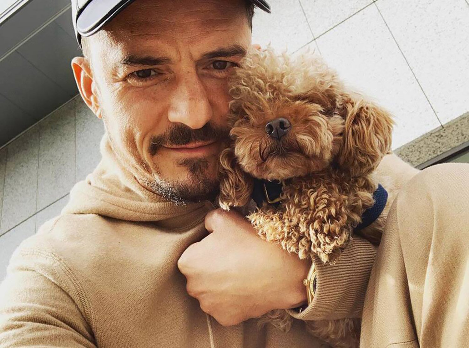 Orlando Bloom Cries As He Reveals His Puppy Might Be Dead And Shows Off New Tattoo In His Honor!