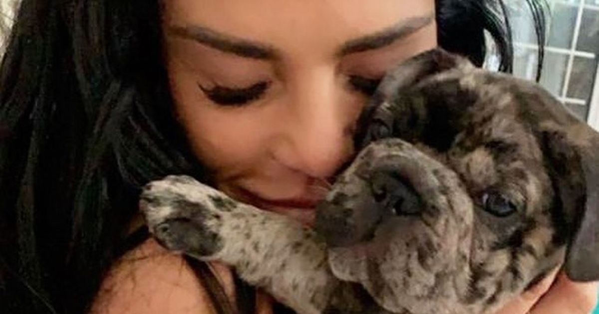 Kerry Katona defends BFF Katie Price after puppy’s death in animal cruelty row