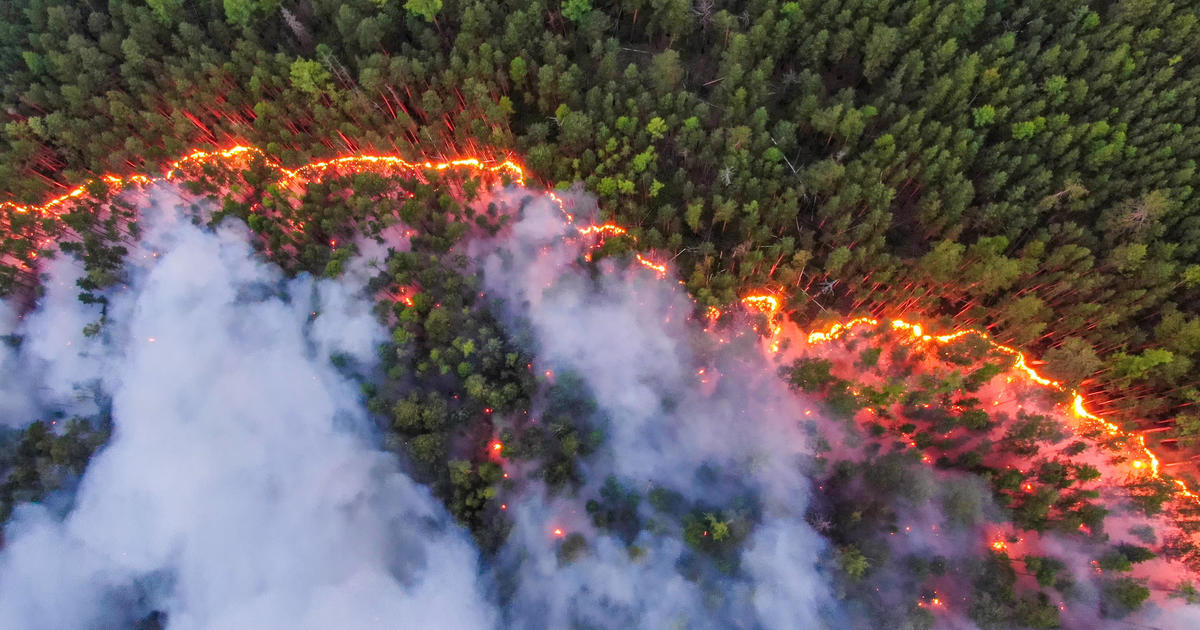 Wildfires in Siberia have burned down an area larger than Greece