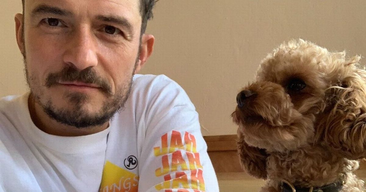 Orlando Bloom is living a ‘waking nightmare’ as he gives update on missing dog
