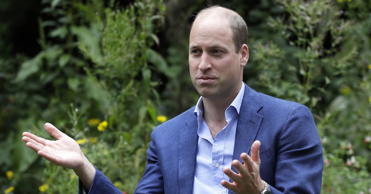 Prince William voted least attractive famous baldy in poll