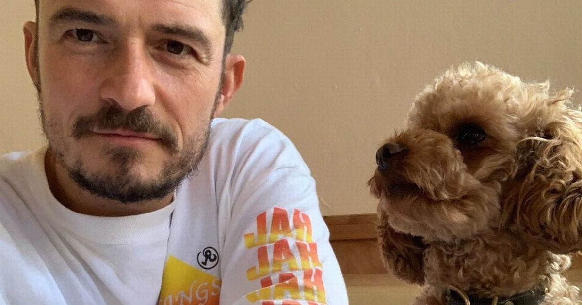 Orlando Bloom confirms his missing dog Mighty is dead and gets tribute tattoo