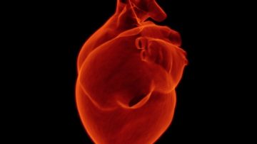 Recovered COVID-19 Patients Can Suffer Long-Term Heart Damage, New Studies Say -- Shall We Become More Careful?