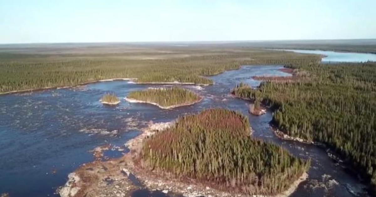 U.S. toilet paper companies have been destroying world’s largest intact forest for decades: Report