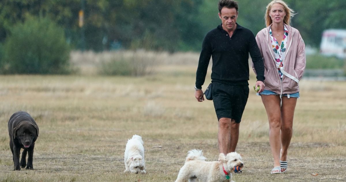 Ant McPartlin and Anne-Marie enjoy romantic dog walk