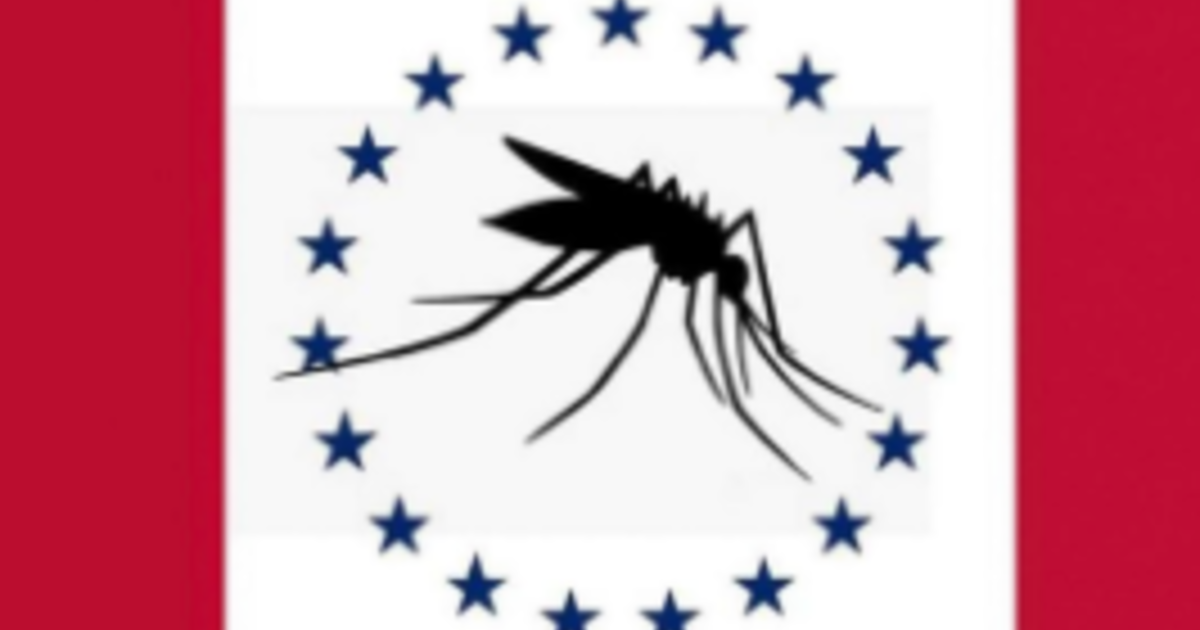 Mississippi man who created mosquito-themed state flag says it was a joke