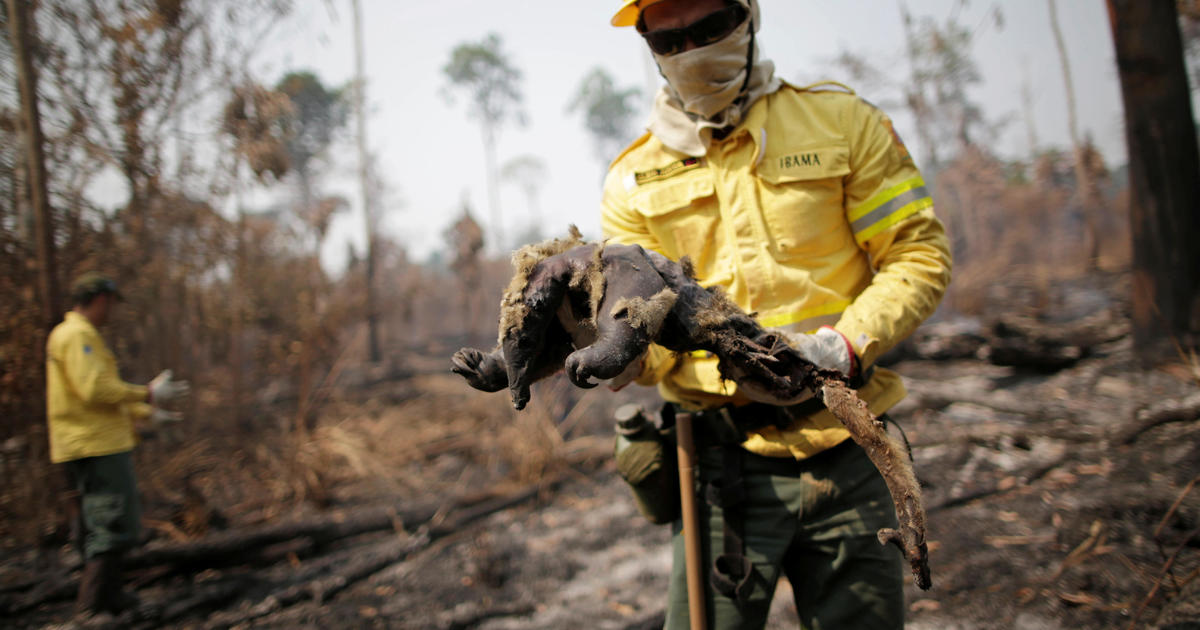 Brazil’s leader calls Amazon fires a “lie.” Images show otherwise.