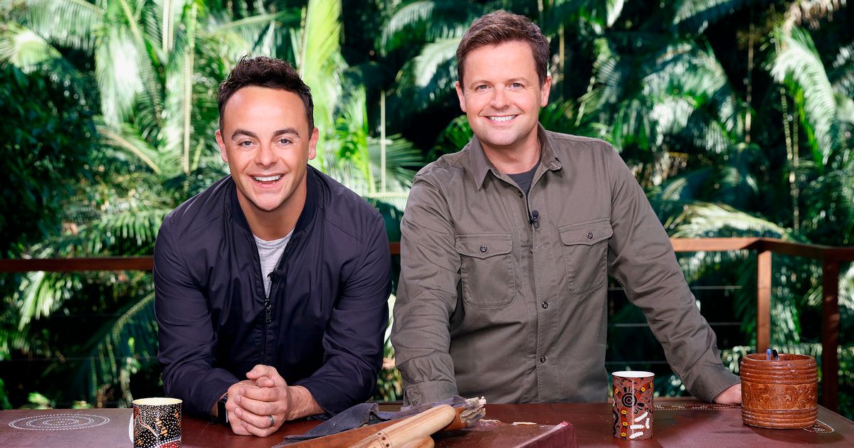 I’m A Celeb’s ruined Gwrych Castle will be closed to the public until January