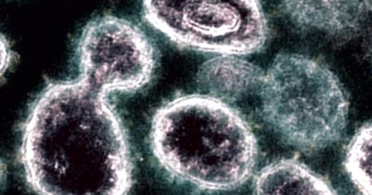 Coronavirus can spread through air up to 16 feet, study finds