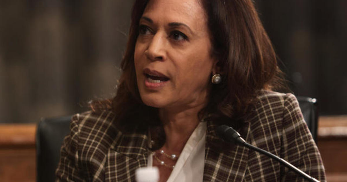 What Kamala Harris brings to the ticket as Joe Biden’s running mate