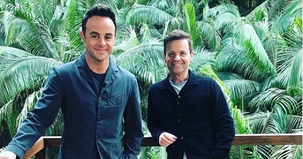 I’m A Celeb stars to battle for food as ‘seagull muggings’ reported near set