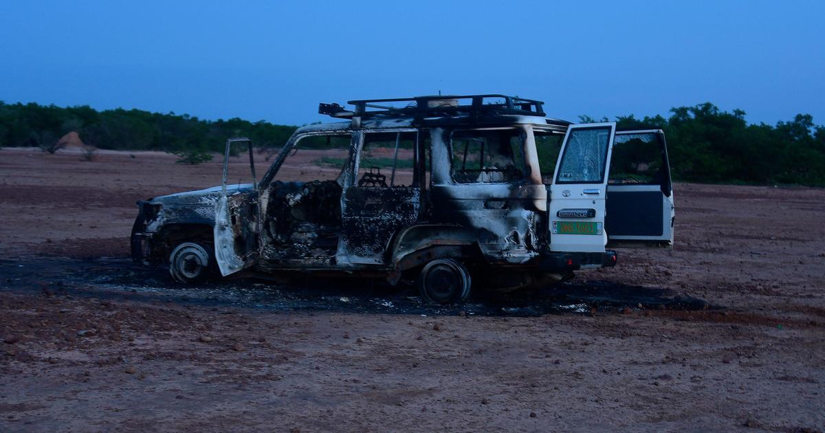 7 aid workers and guide “cowardly murdered” at giraffe park