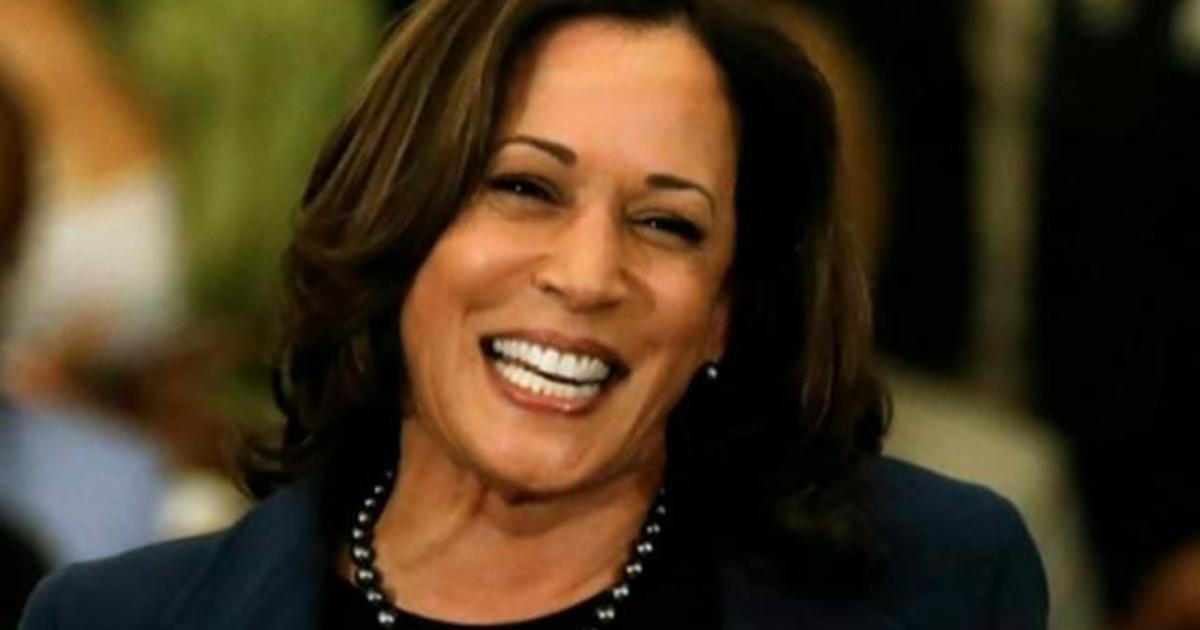 What Kamala Harris will bring as Joe Biden’s running mate