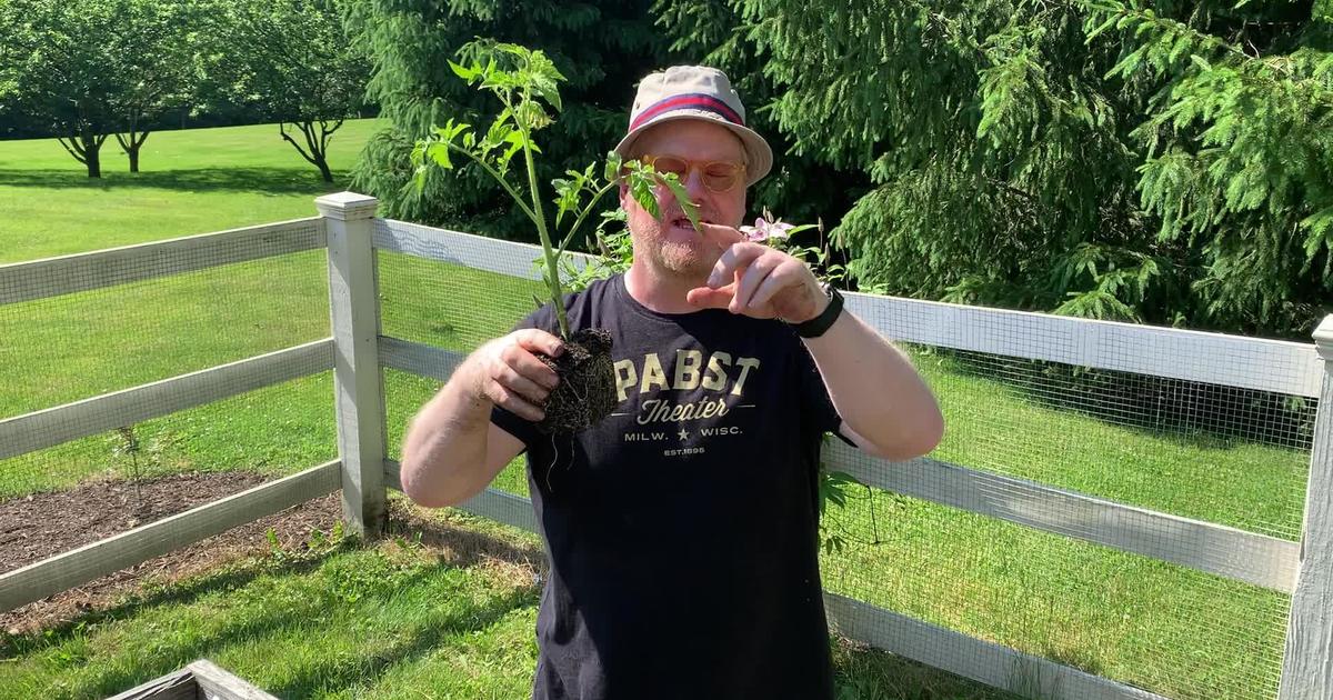 Jim Gaffigan on acquiring a green thumb