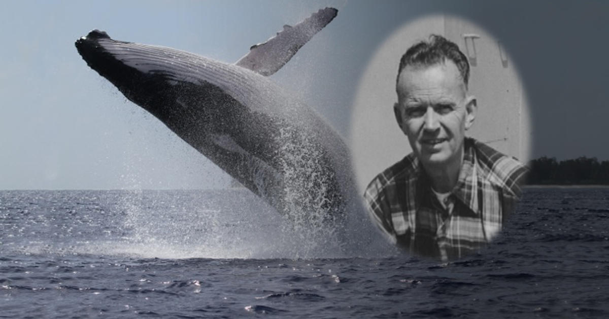 Whale song: A grandfather’s legacy