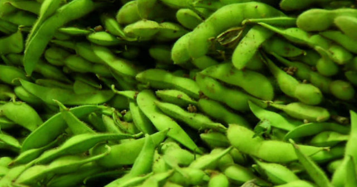 Edamame: Asian bean becoming American cash crop