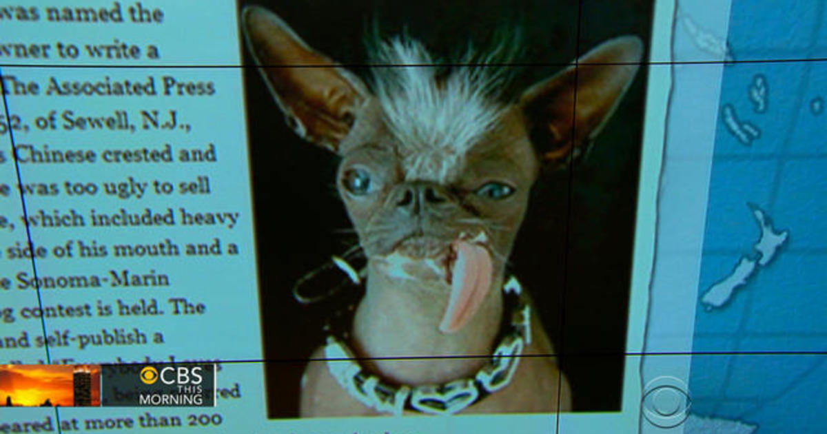 Headlines at 8:30: “World’s Ugliest” dog dies at 8-years-old