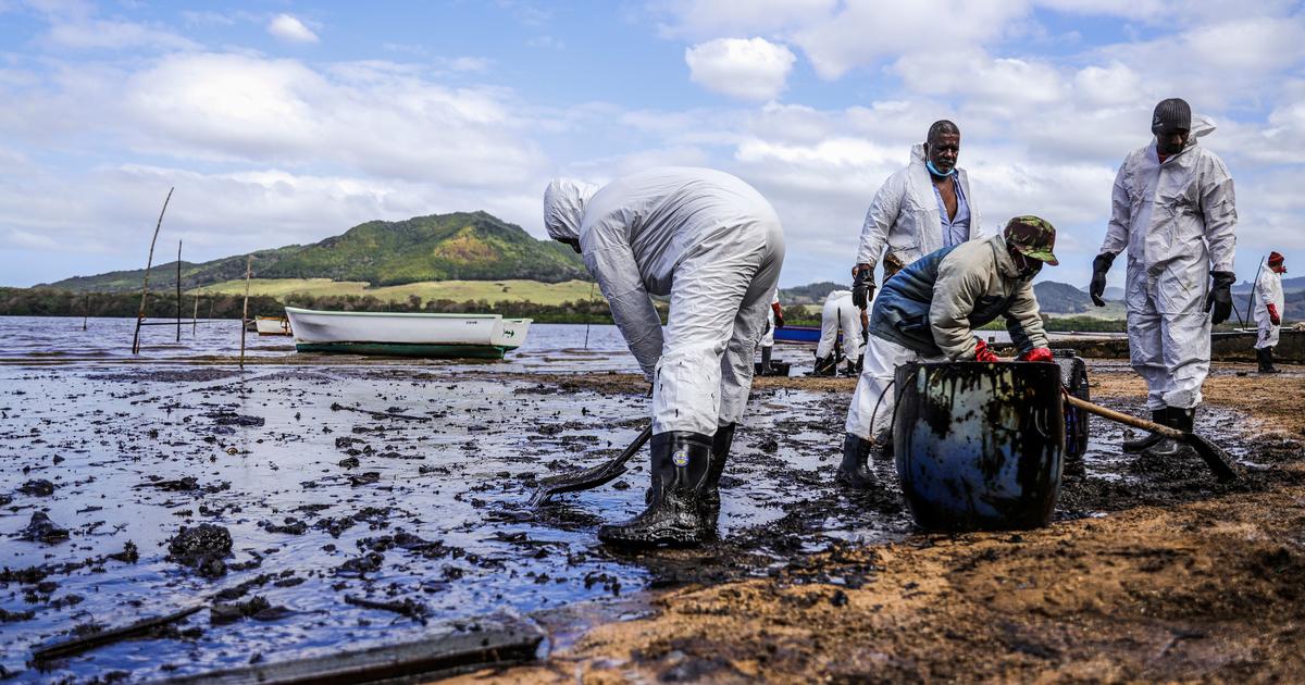 Mauritius says it will seek compensation for devastating oil spill