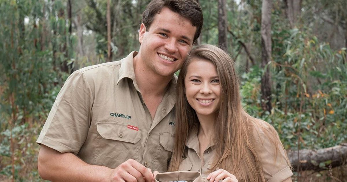 Bindi Irwin announces she’s pregnant five months after wedding with cute post