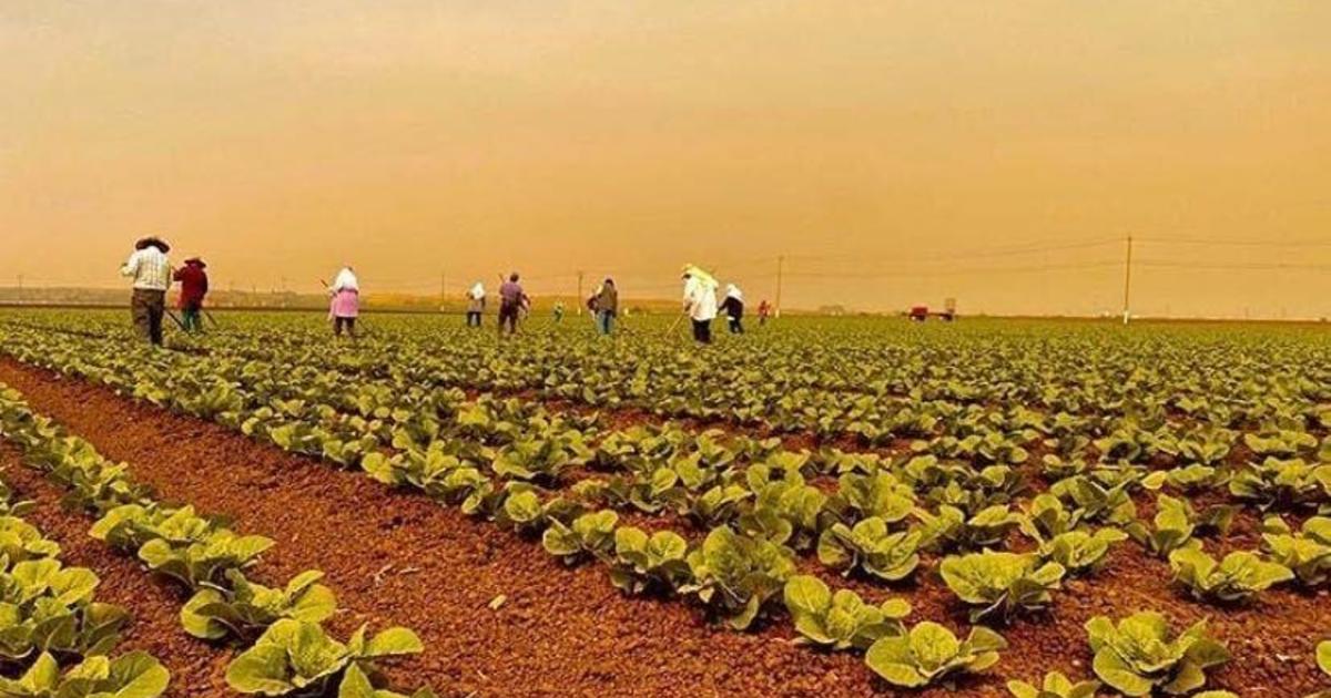 Hazardous air quality threatens farmworkers after major wildfires