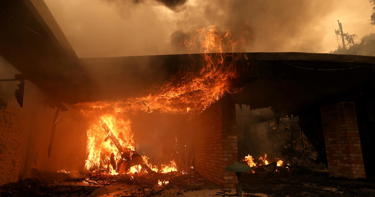 California wildfire scorches wine country as death toll rises