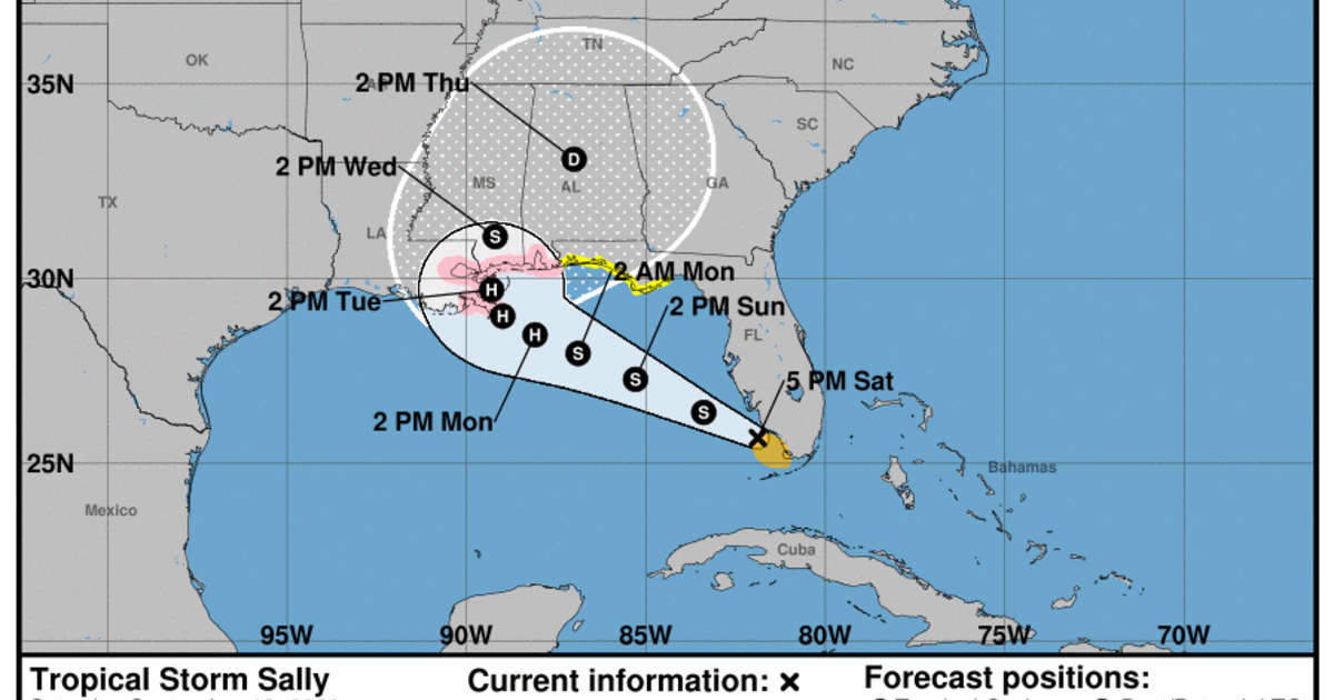 Tropical Storm Sally forms in the Gulf of Mexico