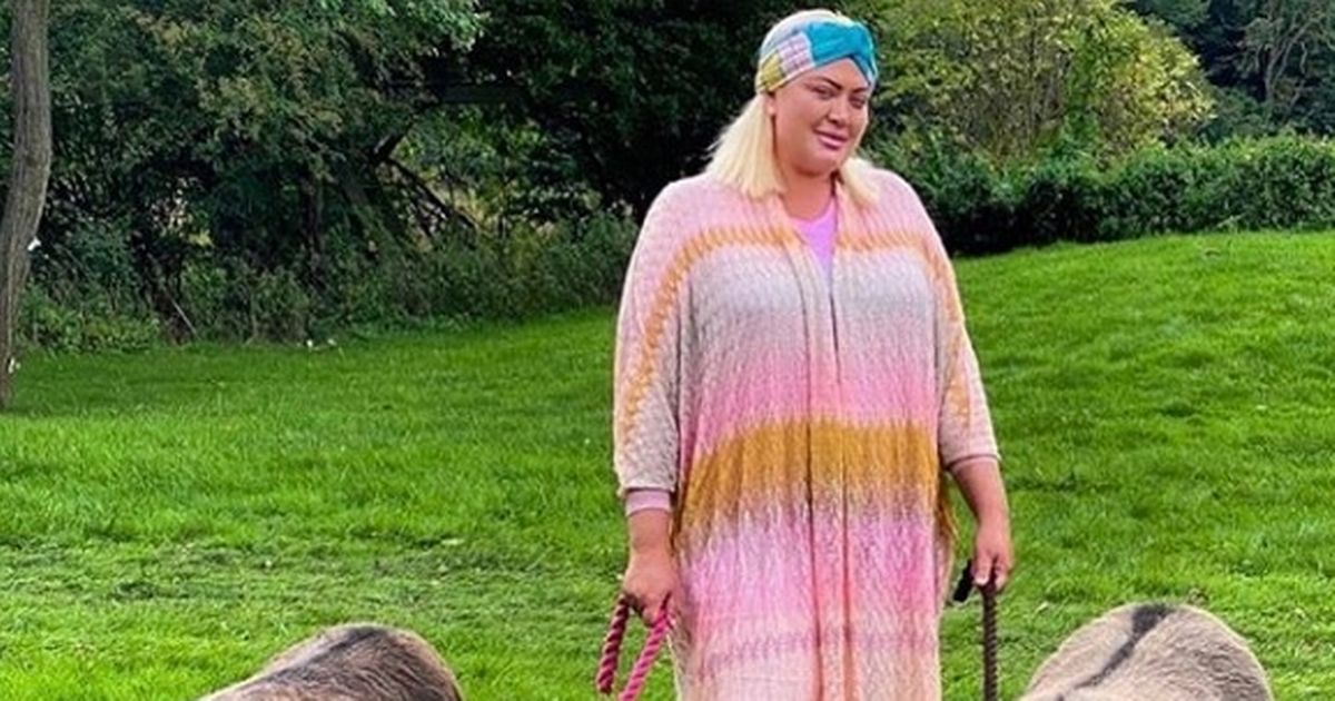 Gemma Collins oozes glamour as she poses with pair of donkeys in field