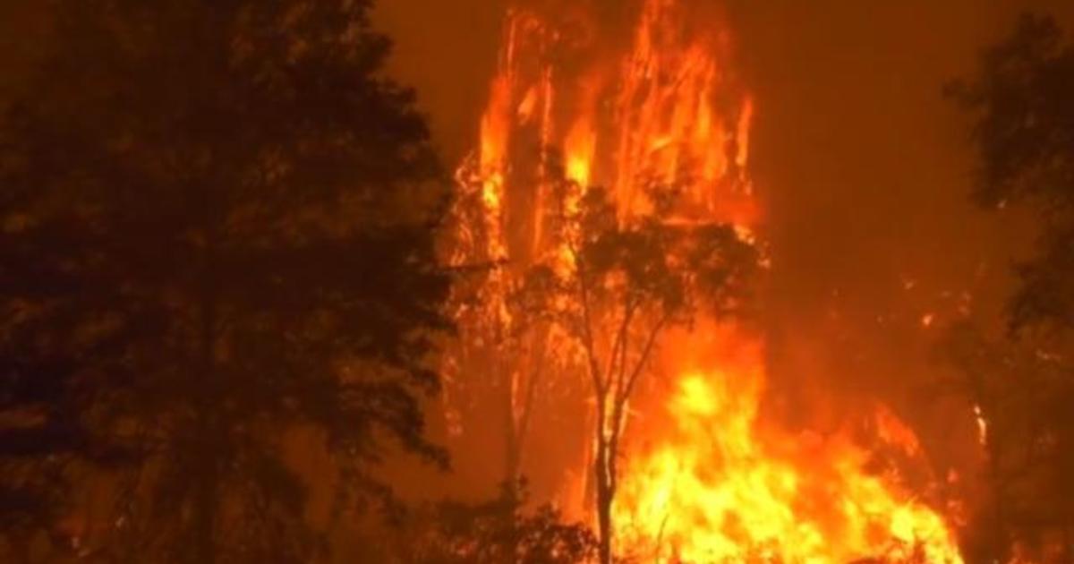 Hundreds rescued as raging California wildfires decimate towns