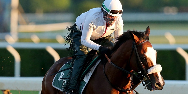 Eyes fixed on Tiz the Law at Kentucky Derby