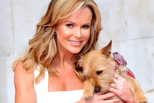 Amanda Holden with her dog Rudy