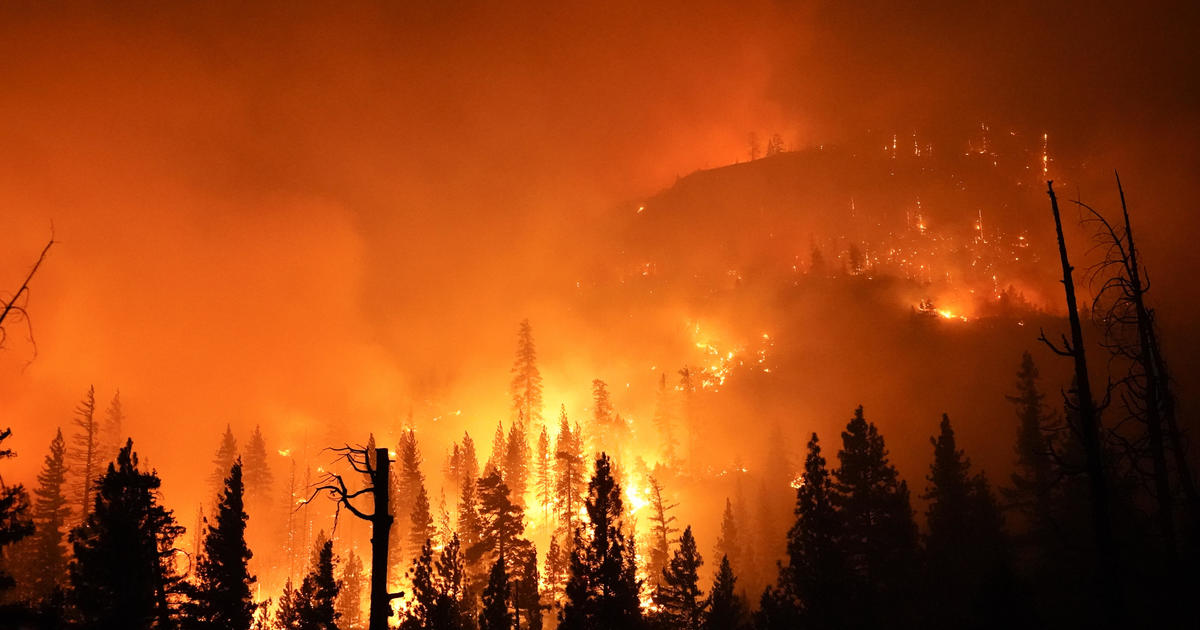 Record-smashing heat in California as wildfires burn statewide