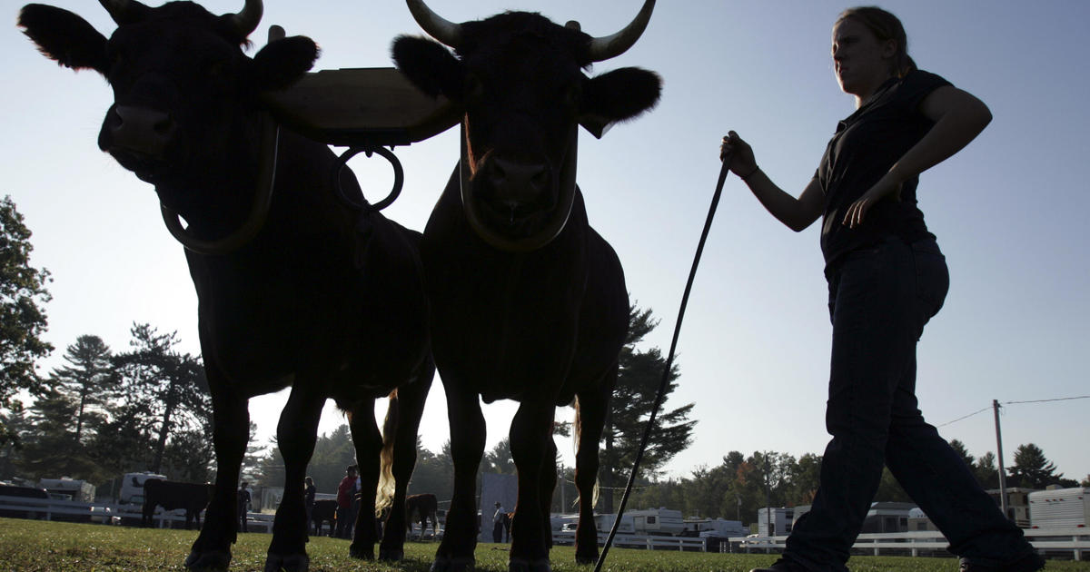 Seasonal workers in Maine brace for long winter amid coronavirus