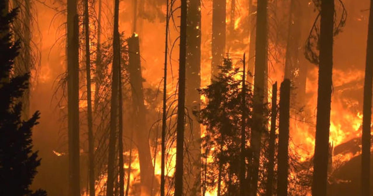 Western wildfires kill at least 17