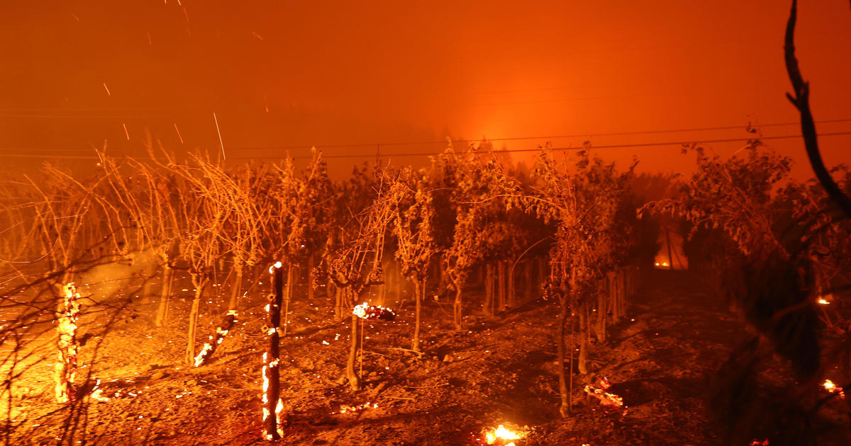 Mass evacuations as wildfire erupts in California wine country