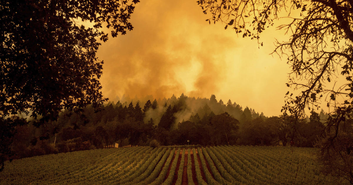 State of emergency in 3 California counties as fire scorches wine country