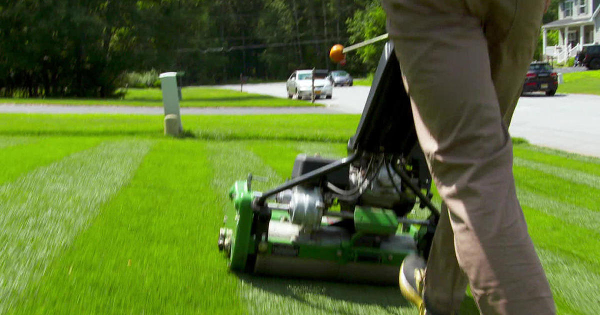 Maintaining a perfect lawn in a world turned upside-down