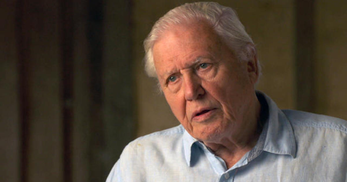 Sir David Attenborough: The 60 Minutes Interview