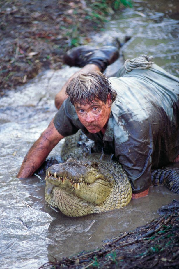 Steve Irwin made his team promise that they wouldn't stop filming, even if he was in troubl