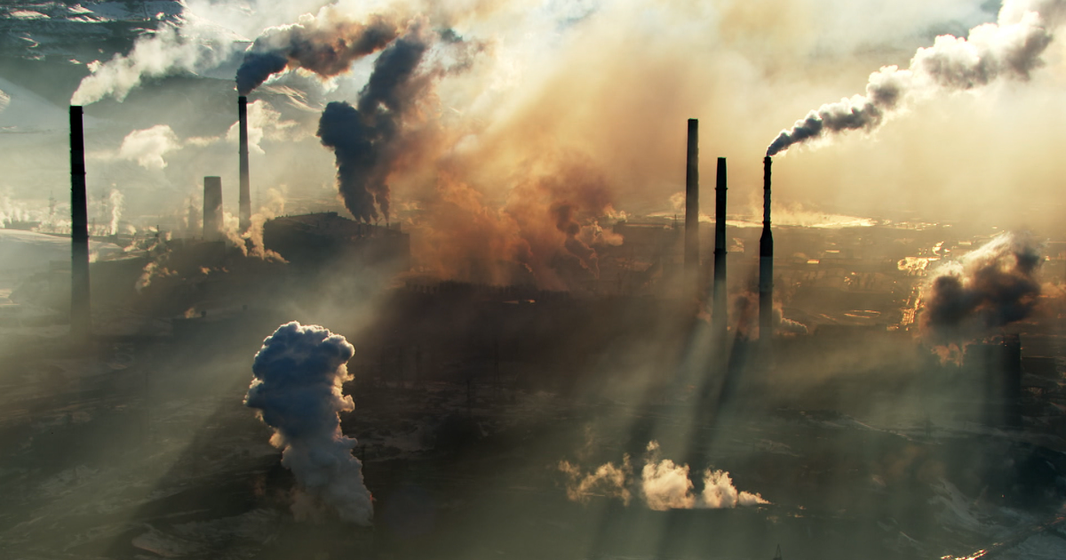 Attenborough talks climate change on 60 Minutes