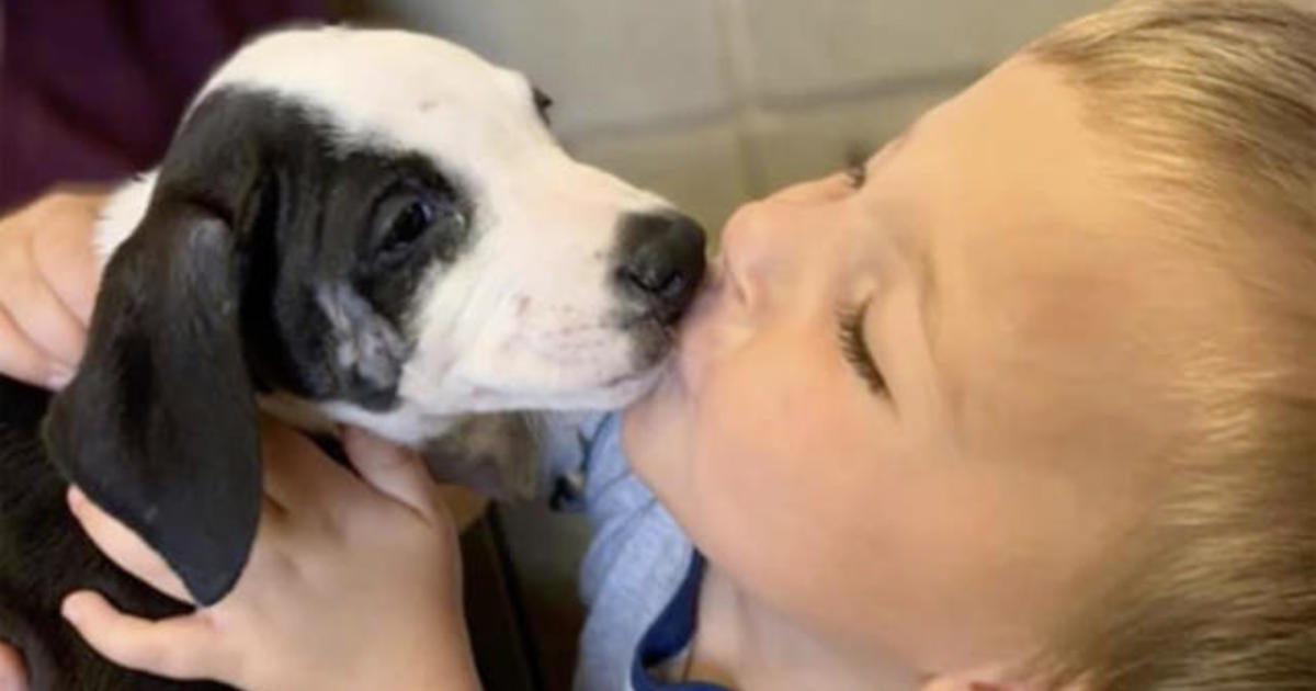 Boy born with cleft lip adopts puppy just like him