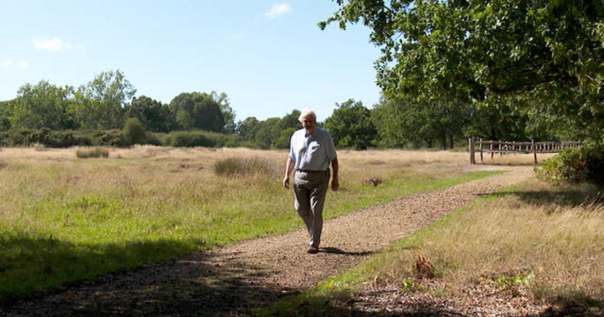 Where Sir David Attenborough draws his optimism