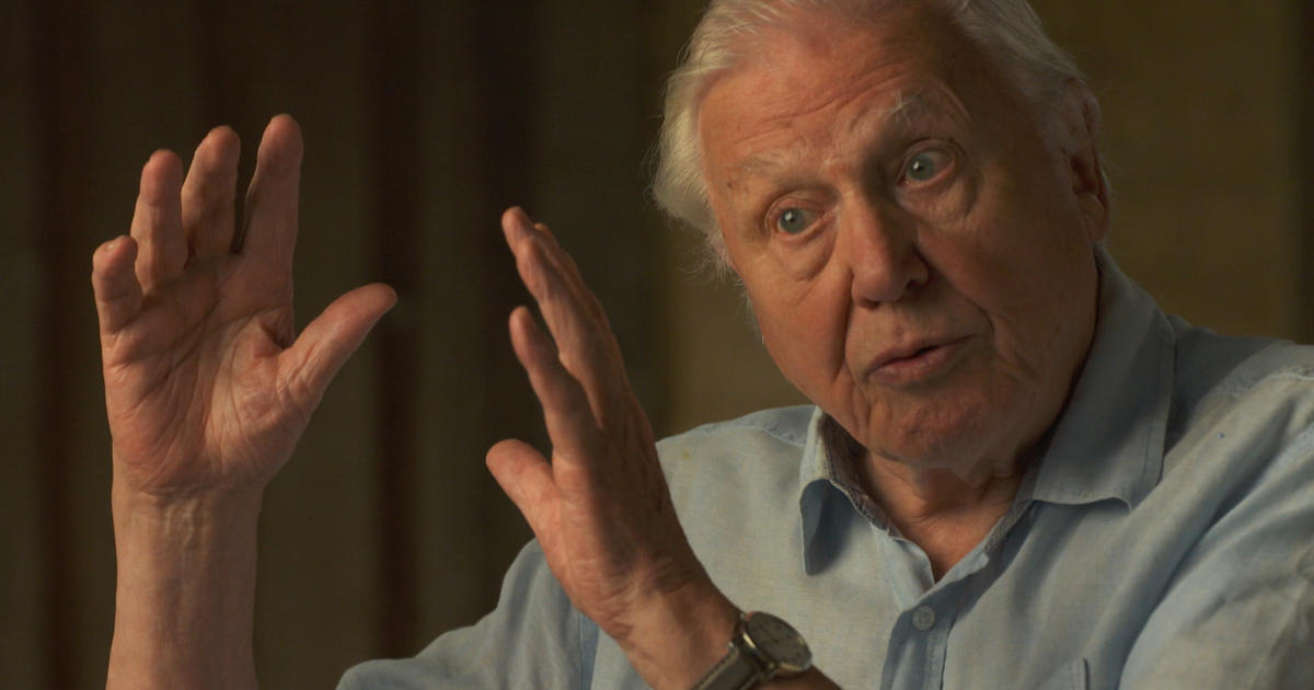 Sir David Attenborough to 60 Minutes: “A crime has been committed”