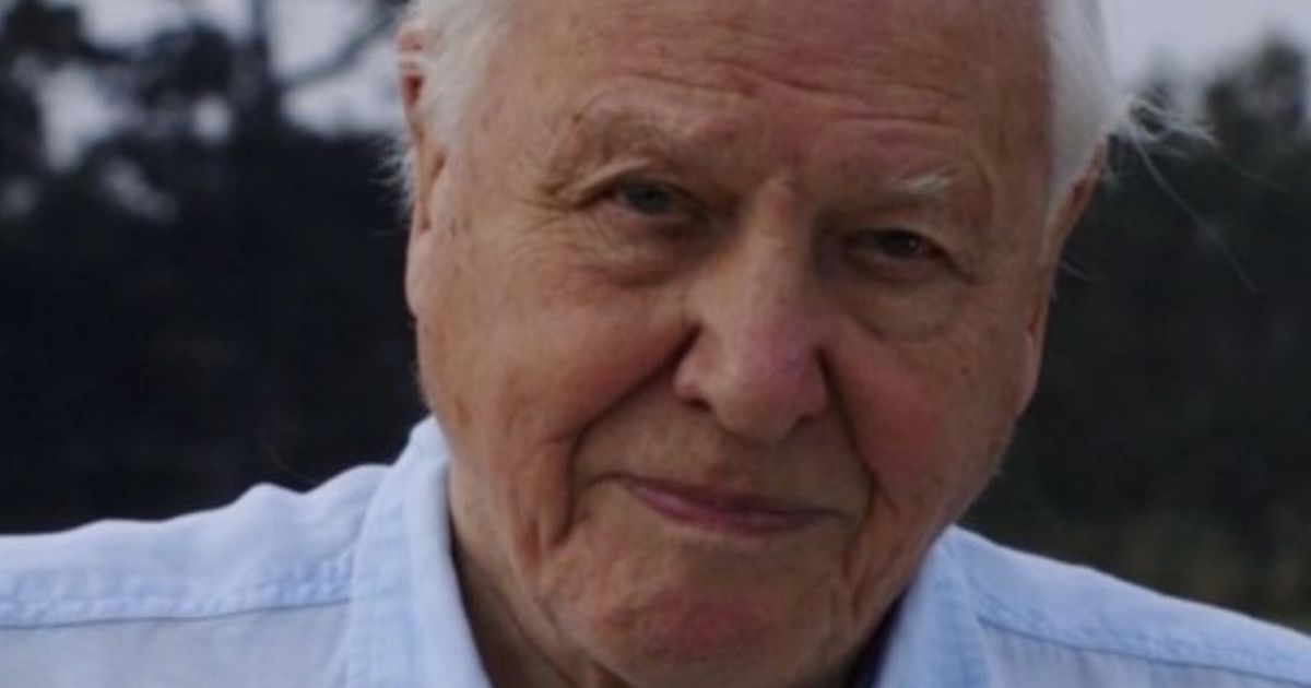 David Attenborough joins Instagram at the age of 94 with savage first post