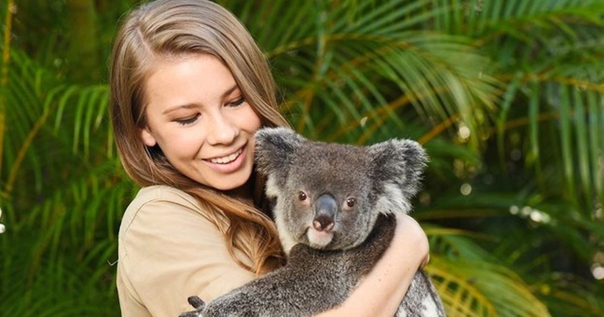 Pregnant Bindi Irwin shares touching quote by her beloved late dad Steve Irwin