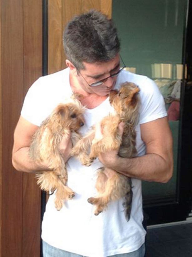 Simon Cowell and his two Yorkshire terrier puppies