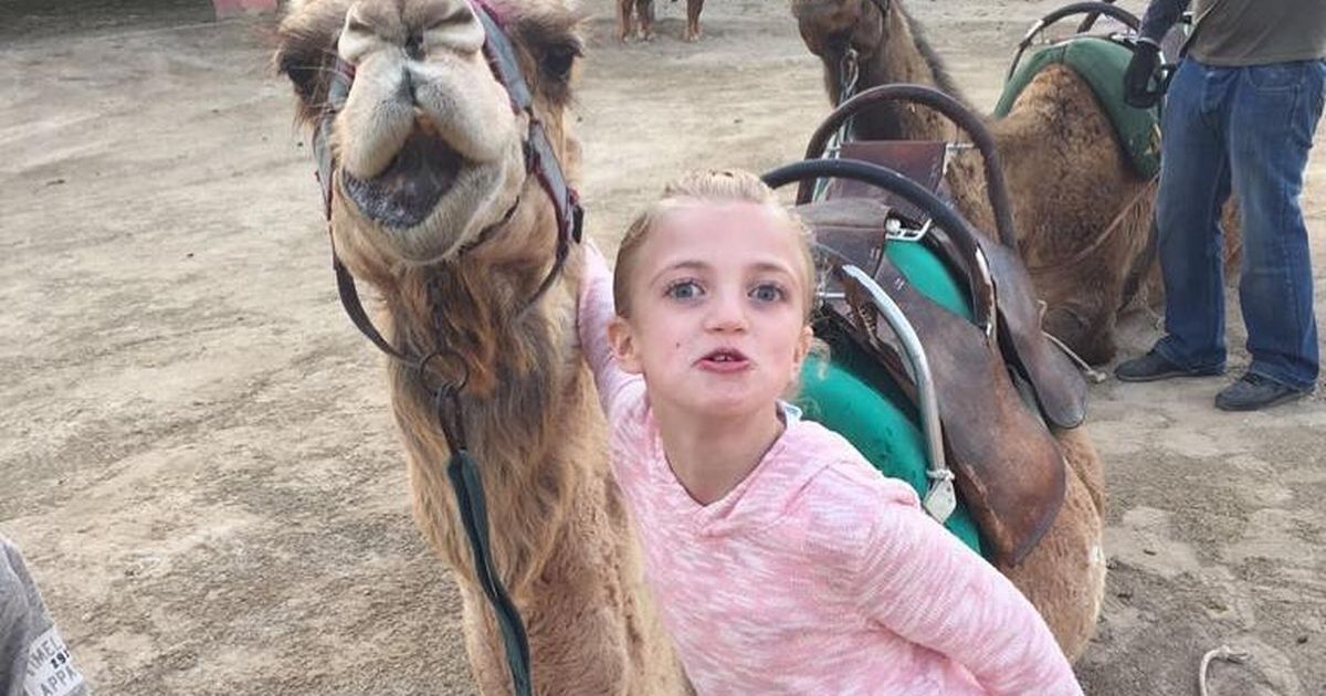 Katie Price deliberately winds up daughter Princess with snap of pouting camel