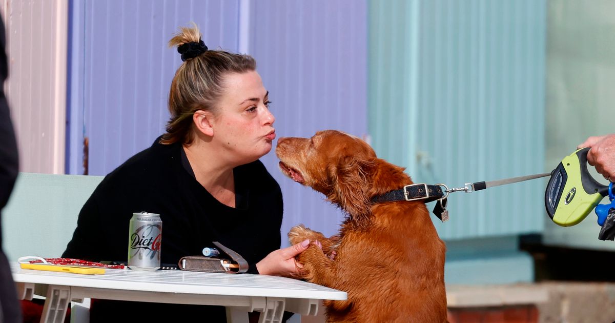 Lisa Armstrong shares tender moment with pooch on beach outing with Alan Carr