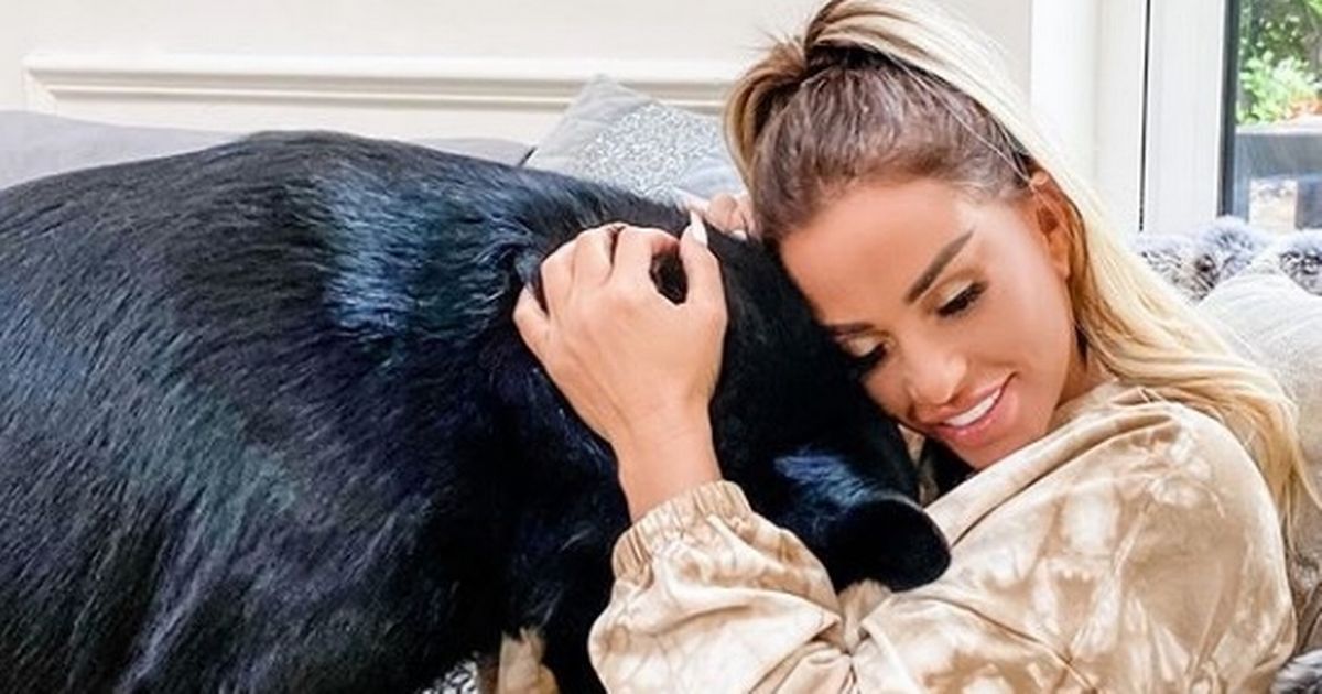 Katie Price says her stars have aligned as she vows to put wild past behind her